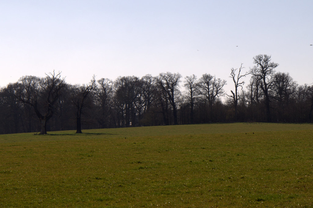 British Airways Pilot Robert Brown: A Chilling True Crime Case